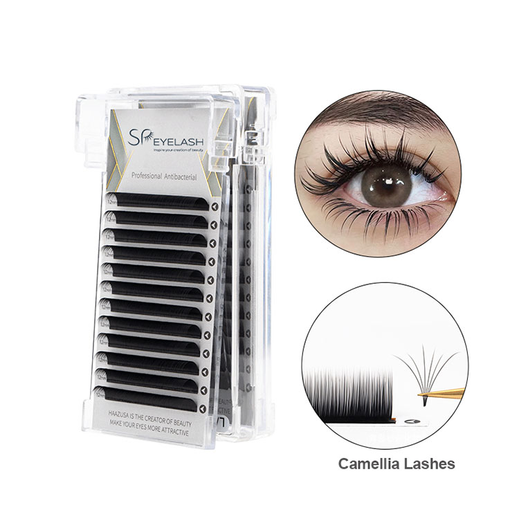 0.07 Tray Lash Camellia