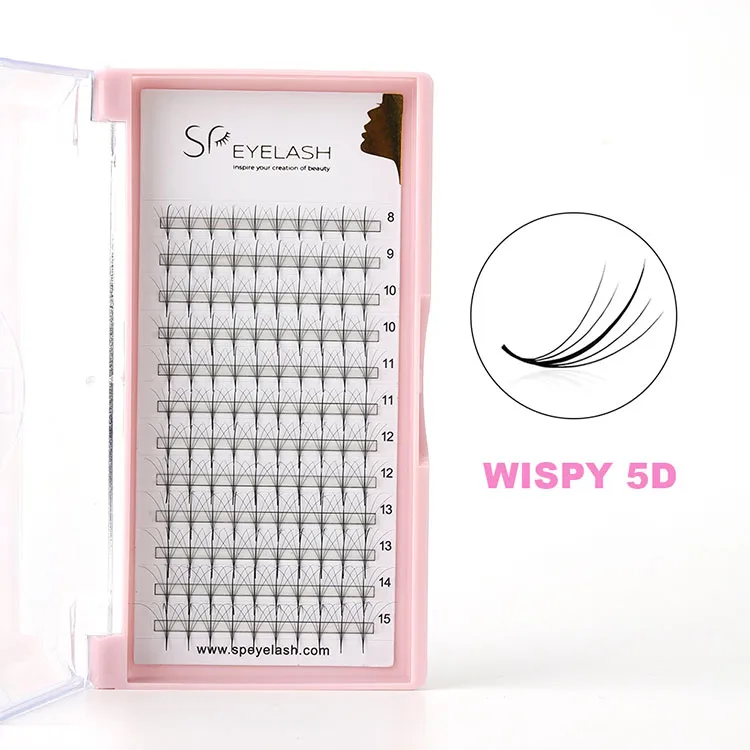 نحوه انتخاب و مراقبت از مژه های Wispy