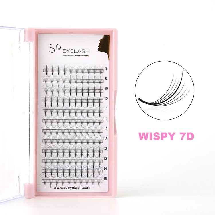 7D شلاق Wispy